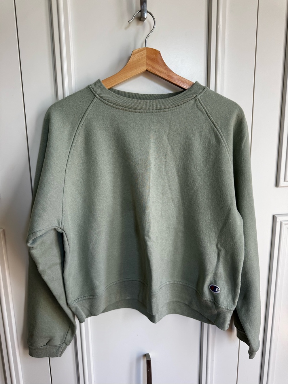 Vintage Champion Crewneck - Size Medium Sage Green